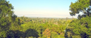 Redberry View